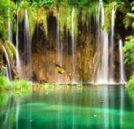 Green Crystal Butterfly Theme for Windows