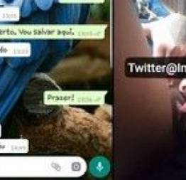 Video india ayara deixando eduardo de aracaju se chupa sua bucetinha por 900 pra